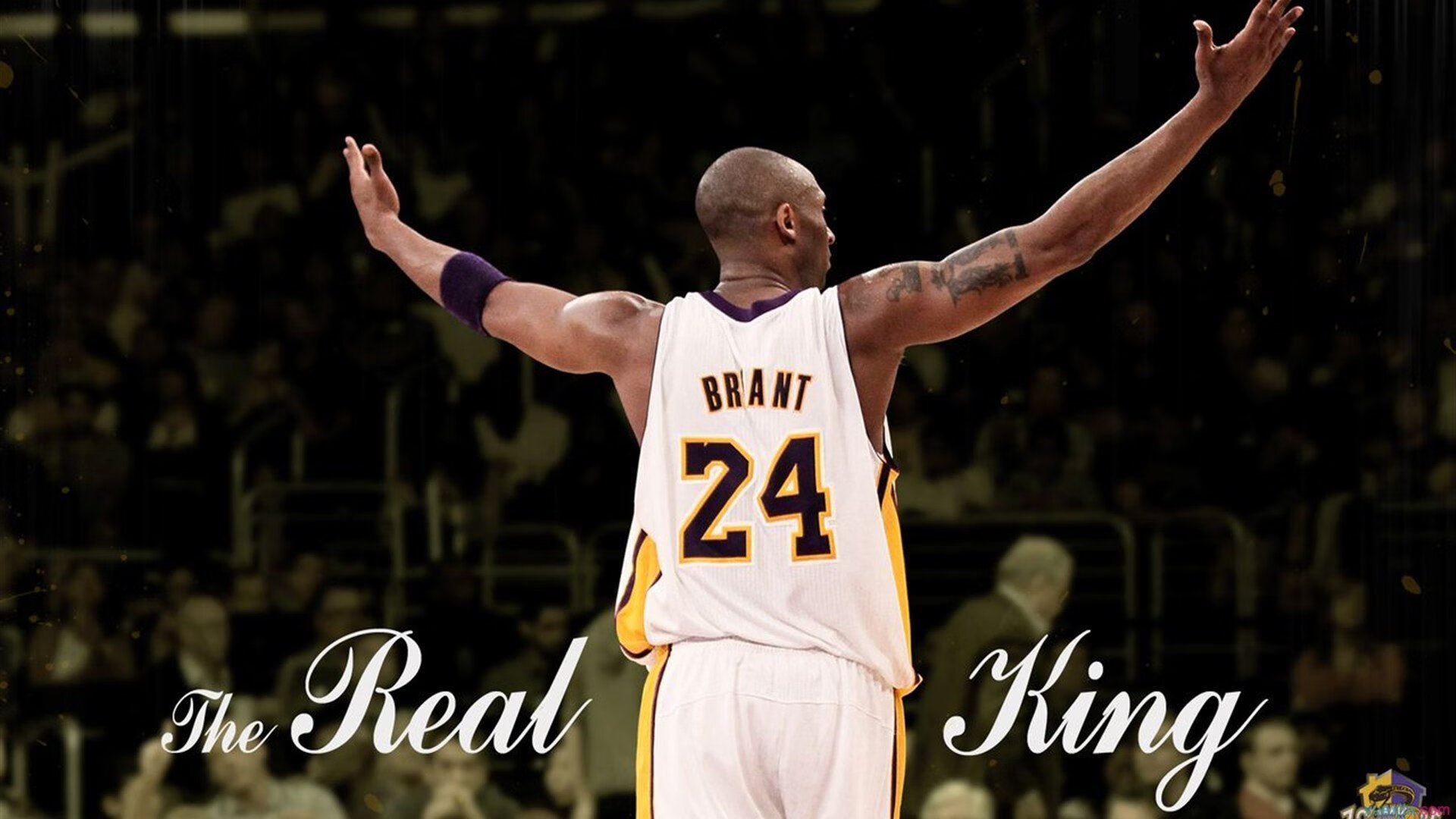 牙买加对阵冰岛,当布雷默的纪录撞碎维京战吼